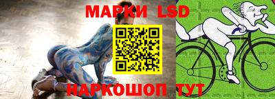 индика Новодвинск