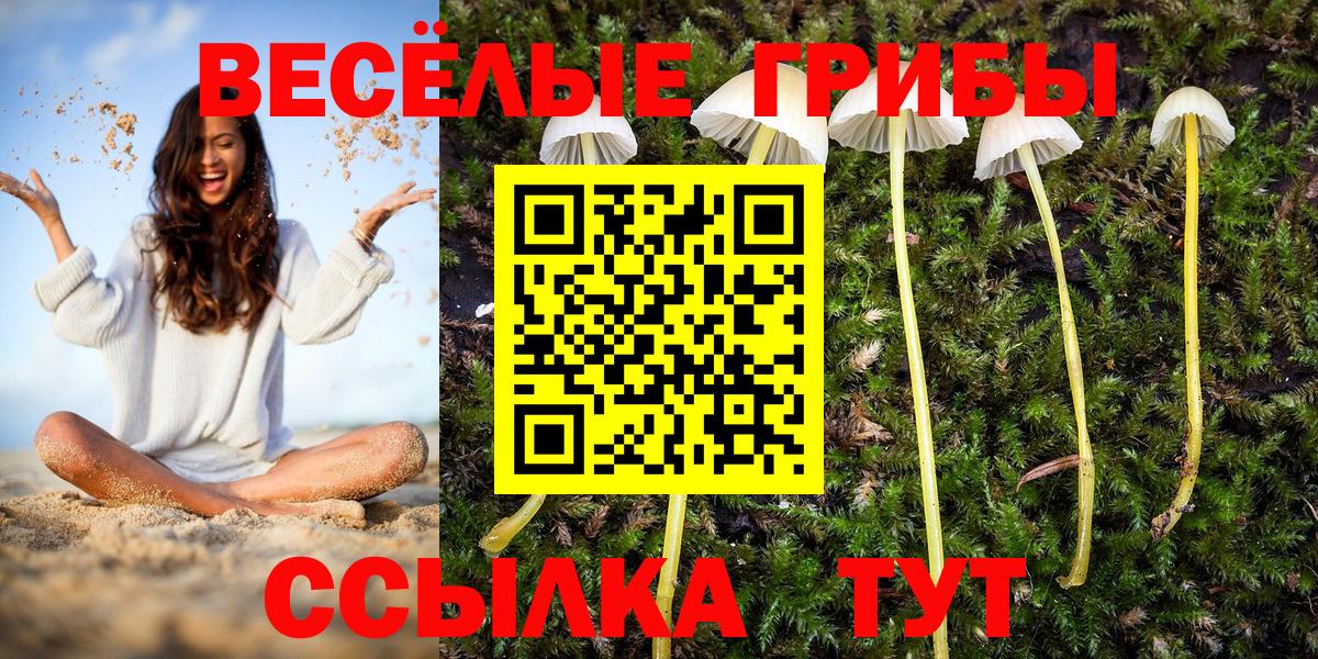 Тавда  Псилоцибиновые грибы прущие грибы  Вход с VPN 